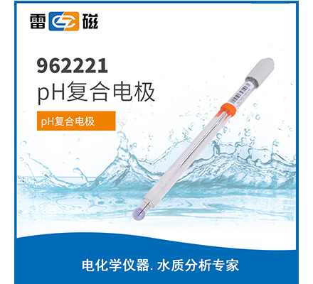 962221 超純水pH復合電極